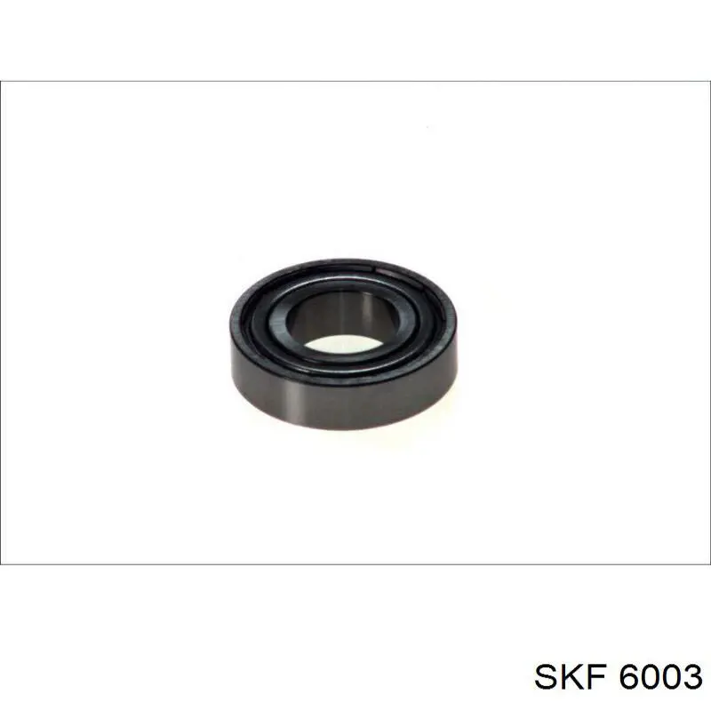 6003 SKF