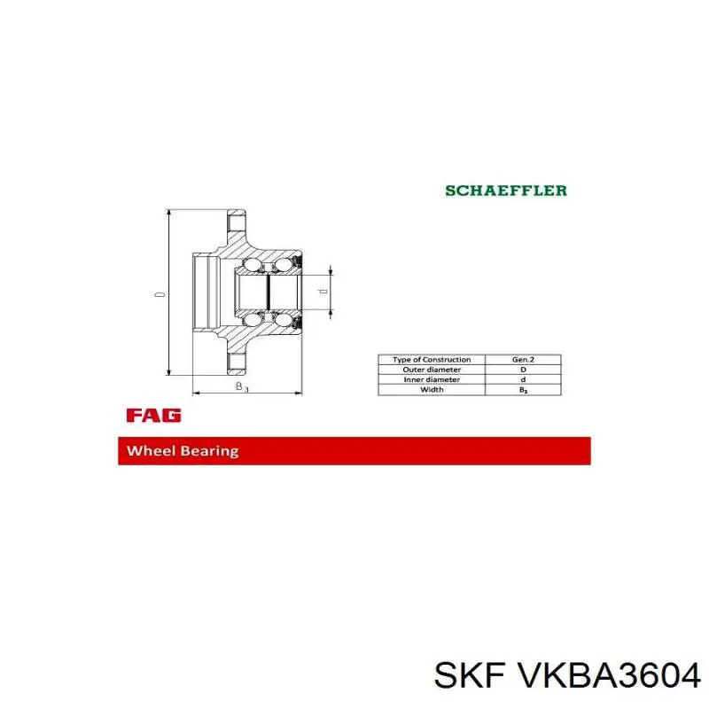 VKBA3604 SKF cojinete de rueda trasero