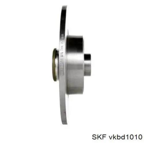 Disco de freno trasero Renault Espace 4 JK0