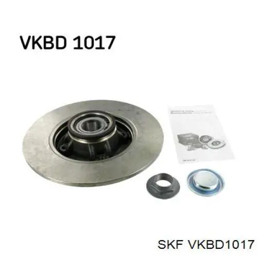 VKBD1017 SKF disco de freno trasero
