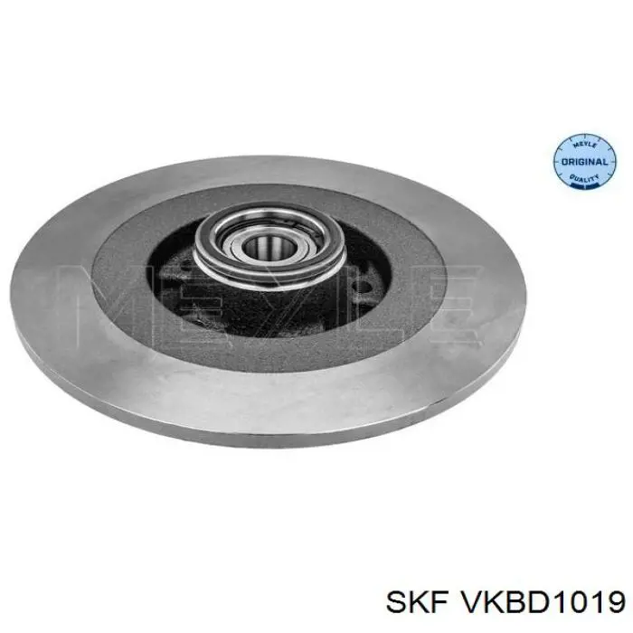 Disco de freno trasero SKF VKBD1019 precio, desde 89,09 EUR