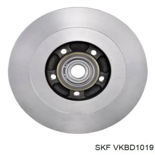 Comprar VKBD1019 SKF Disco de freno trasero