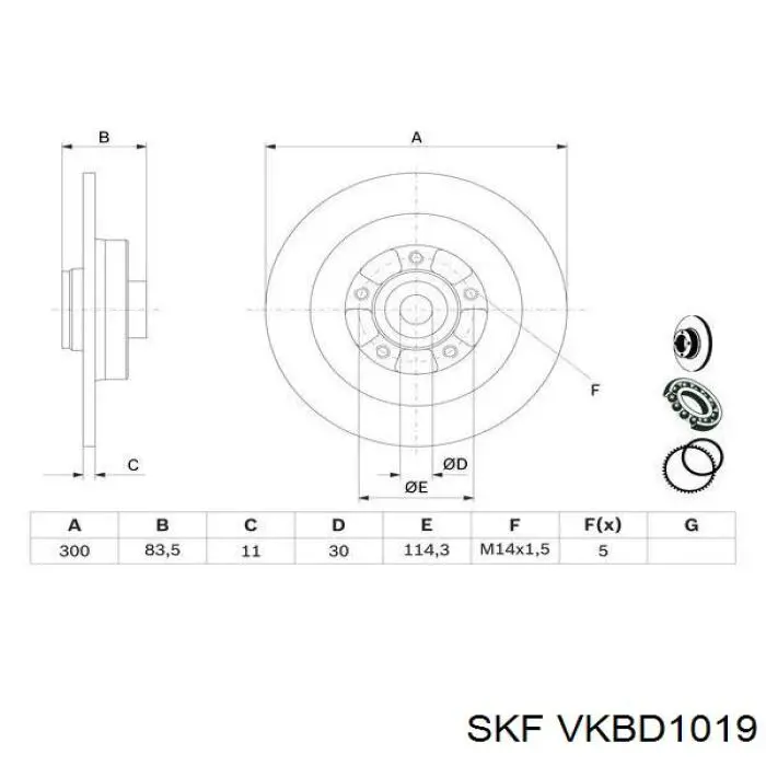 Disco de freno trasero VKBD1019 SKF