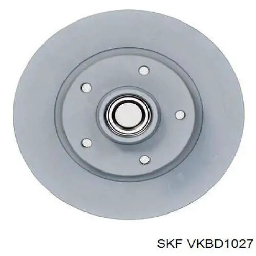 VKBD1027 SKF Freno de disco trasero