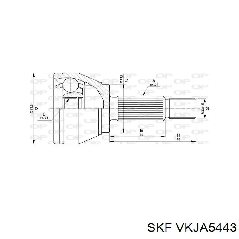 VKJA 5443 SKF junta homocinética exterior delantera