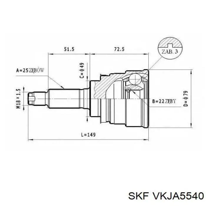 VKJA5540 SKF junta homocinética exterior delantera