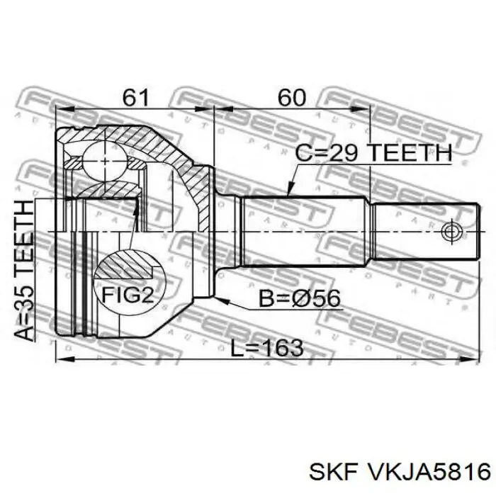 Junta homocinética exterior delantera SKF VKJA5816 precio, desde 60,56 EUR