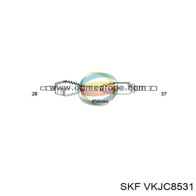 Semieje delantero derecho Trakmotive/Surtrack 300235 precio, desde 128,83 EUR