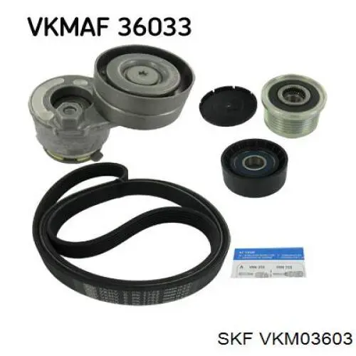 VKM03603 SKF polea del alternador