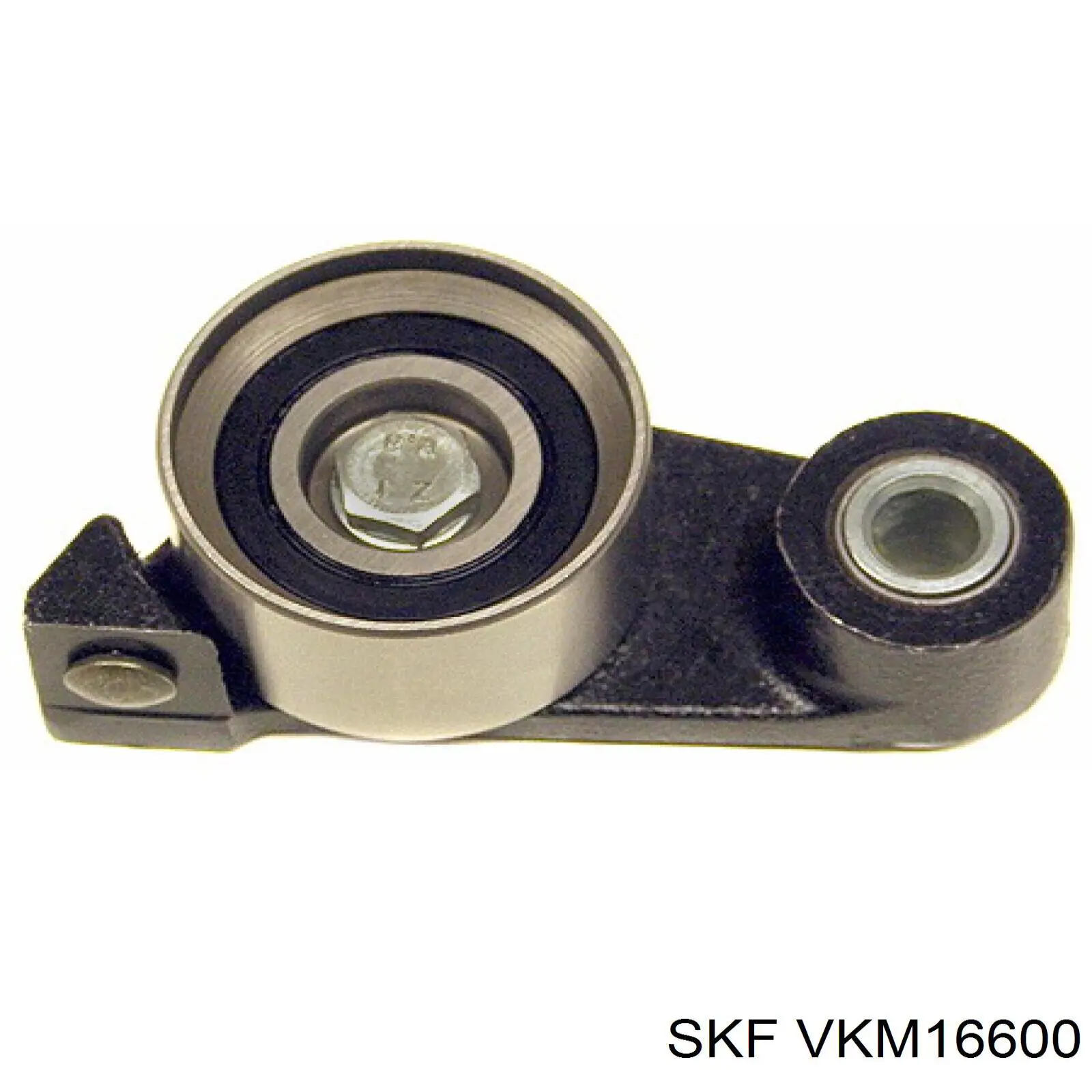 VKM16600 SKF rodillo, cadena de distribución