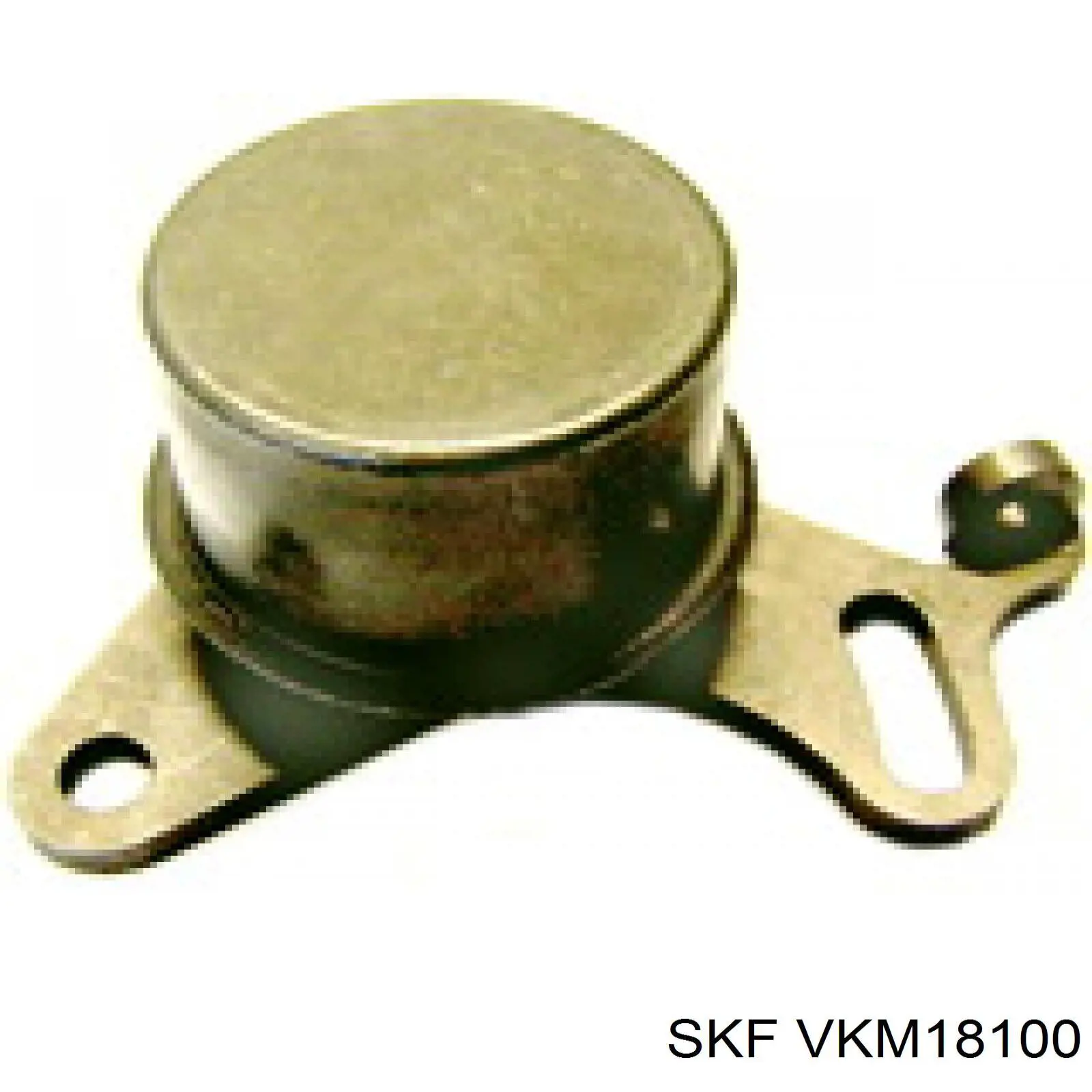 Comprar VKM18100 SKF Tensor correa distribución