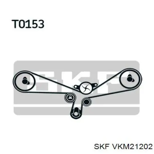 VKM 21202 SKF rodillo intermedio de correa dentada