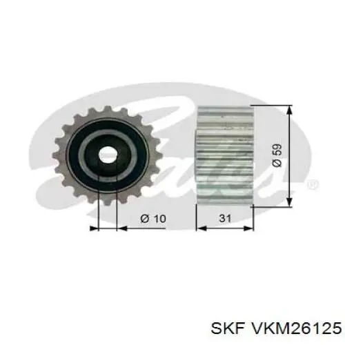 VKM 26125 SKF rodillo intermedio de correa dentada