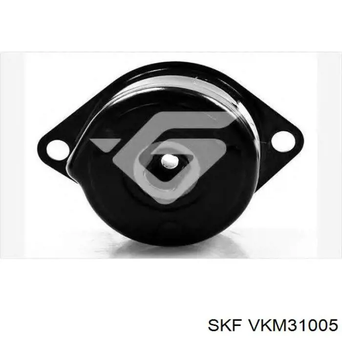 VKM 31005 SKF tensor de correa, correa poli v