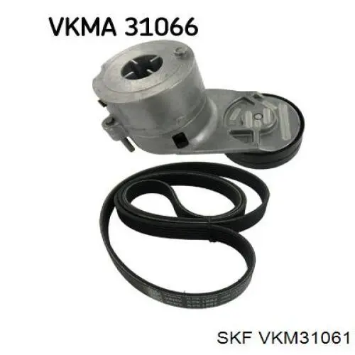 VKM 31061 SKF tensor de correa, correa poli v