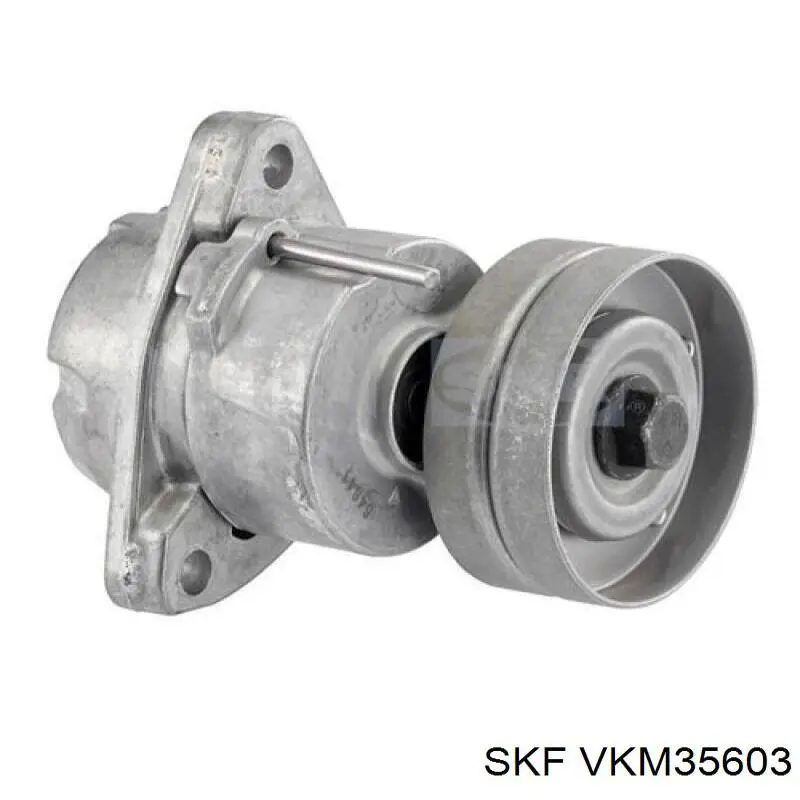 VKM 35603 SKF tensor de correa, correa poli v