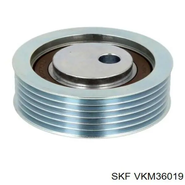 VKM36019 SKF rodillo, correa trapecial poli v