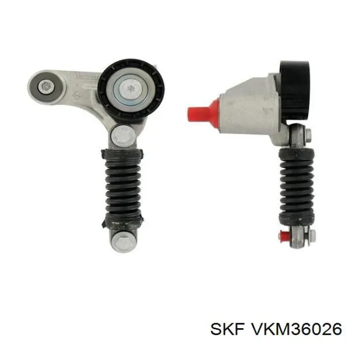 VKM36026 SKF tensor de correa, correa poli v