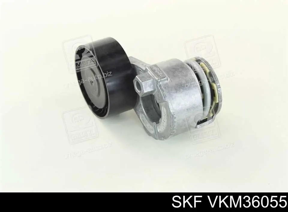 Tensor de la correa trapecial SKF VKM36055 precio, desde 30,49 EUR
