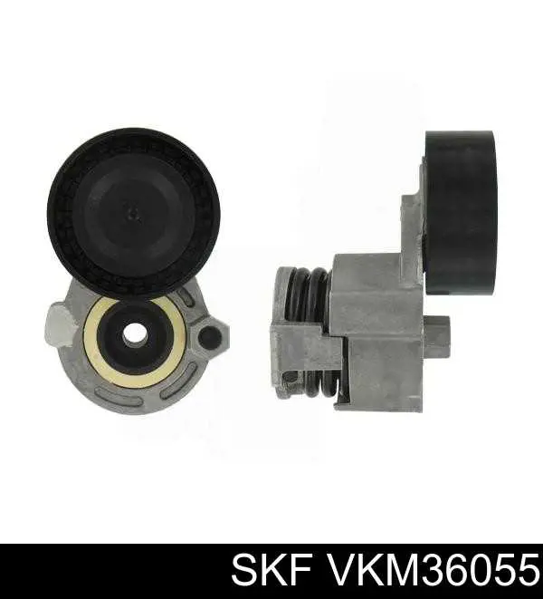 Comprar VKM36055 SKF Tensor de correa poli V 
