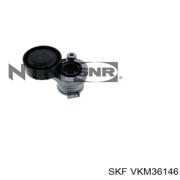 Comprar VKM36146 SKF Tensor de correa poli V 