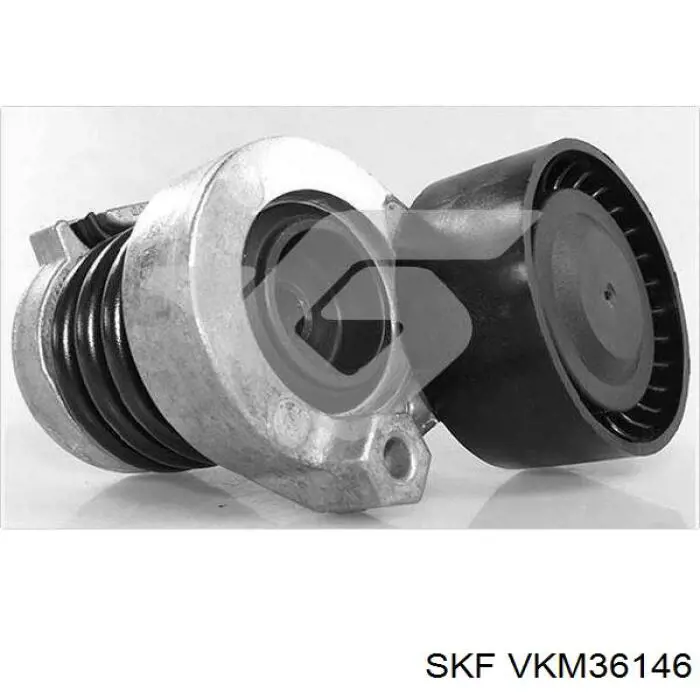 Tensor de correa poli V VKM36146 SKF