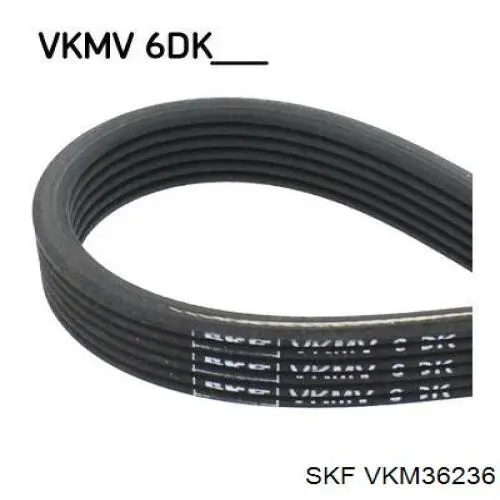 VKM36236 SKF tensor de correa poli v