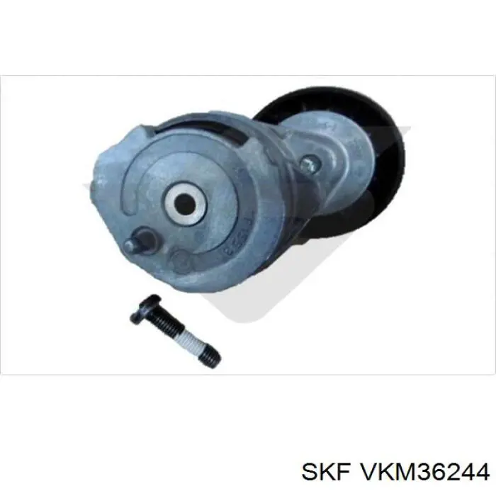 VKM 36244 SKF tensor de correa poli v