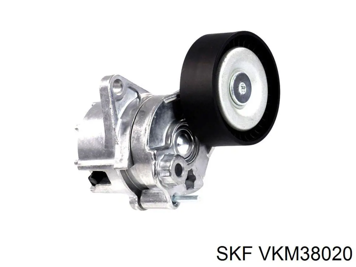 Tensor de la correa trapecial poli v SKF VKM38020