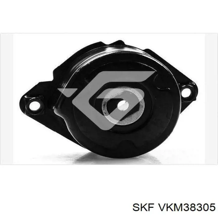 VKM38305 SKF tensor de correa, correa poli v