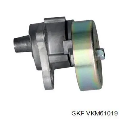 VKM61019 SKF tensor de correa, correa poli v