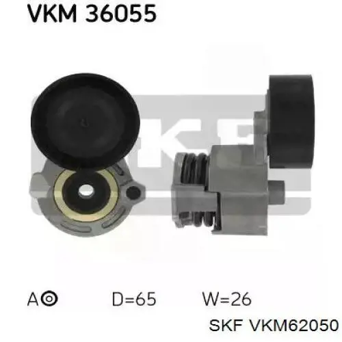 VKM62050 SKF polea inversión / guía, correa poli v