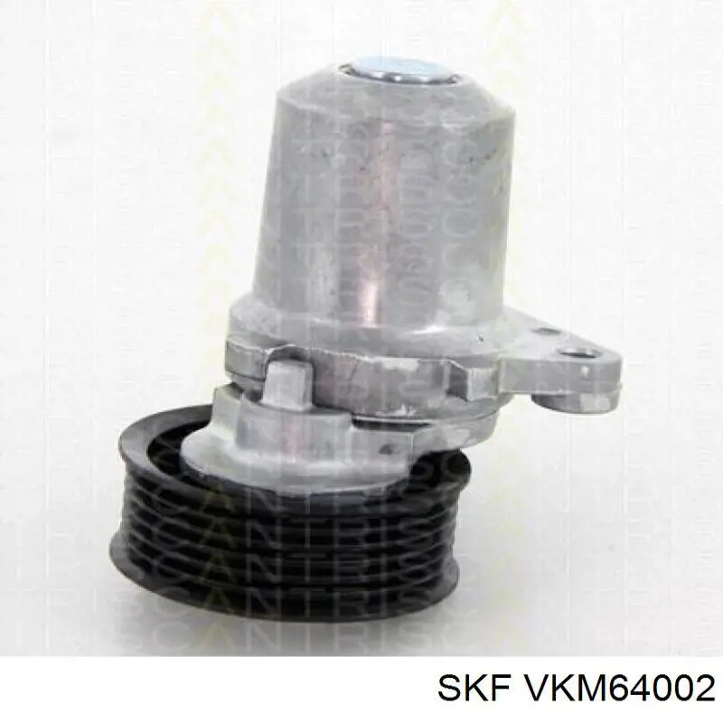 Tensor de la correa trapecial poli v SKF VKM64002