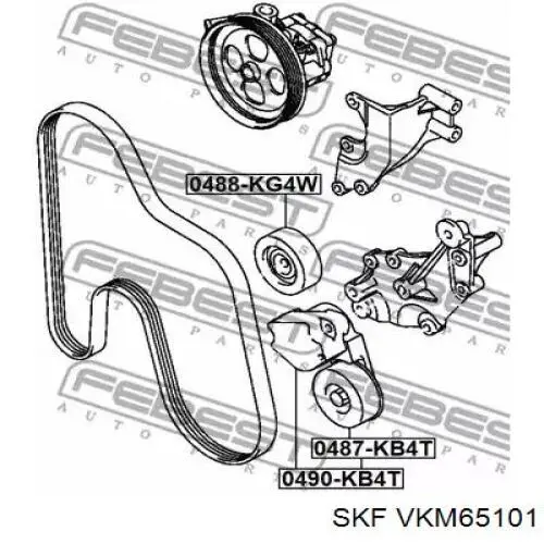 Comprar VKM65101 SKF Polea inversión/guía, correa poli V