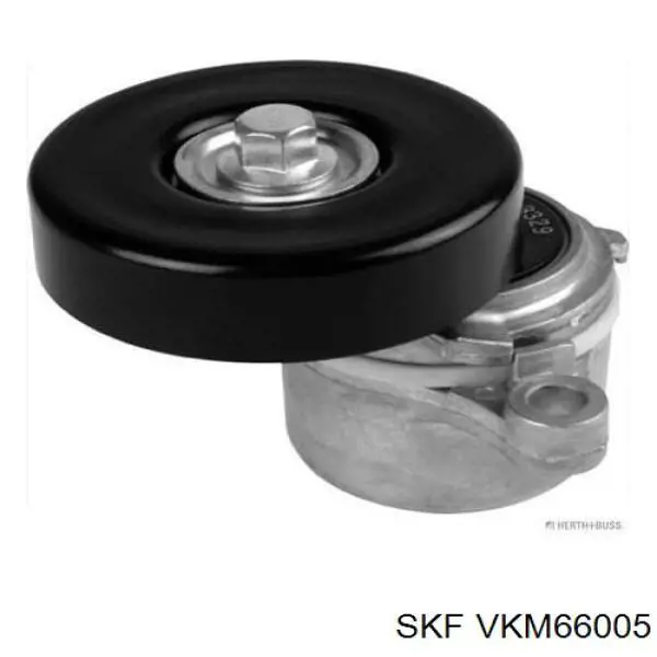 VKM 66005 SKF tensor de correa, correa poli v