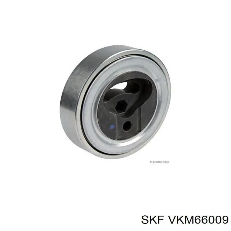 VKM 66009 SKF polea tensora, correa poli v