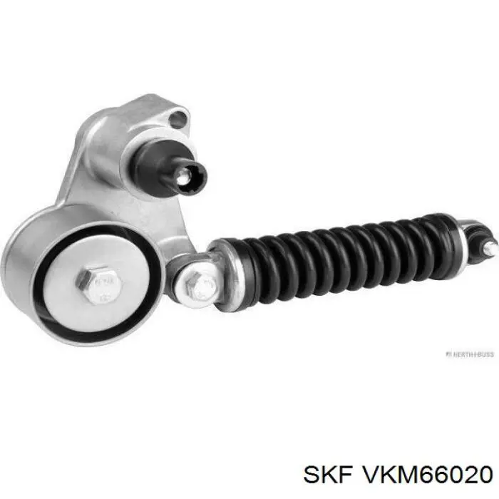 Comprar VKM66020 SKF Tensor de la correa trapecial
