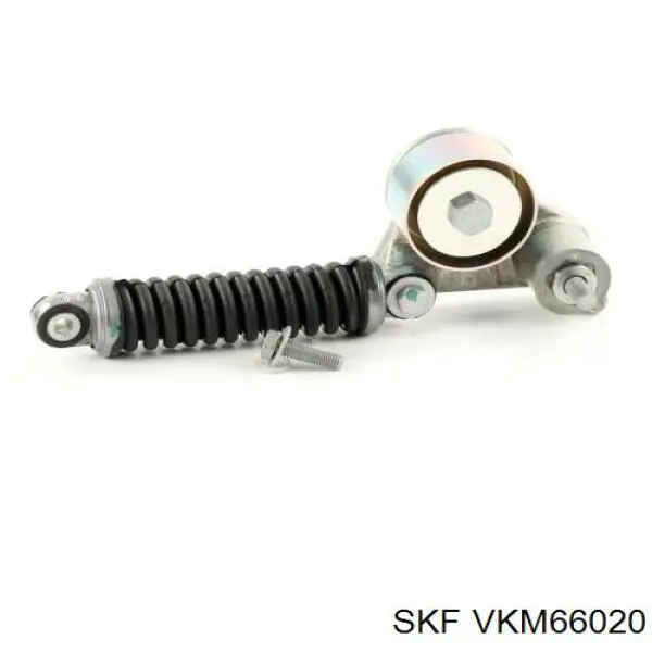 Comprar VKM66020 SKF Tensor de correa poli V 