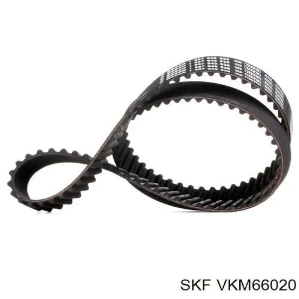 Tensor de correa poli V VKM66020 SKF