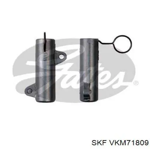 VKM71809 SKF tensor de la correa de distribución