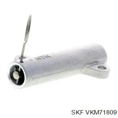 Tensor de la correa de distribución SKF VKM71809 precio, desde 24,49 EUR