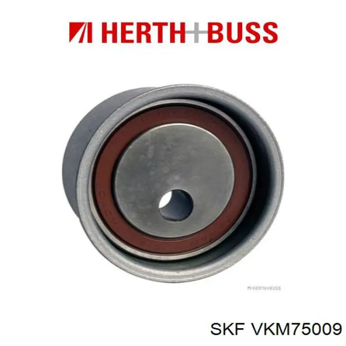 Tensor de la correa de distribución SKF VKM75009 precio, desde 17,95 EUR
