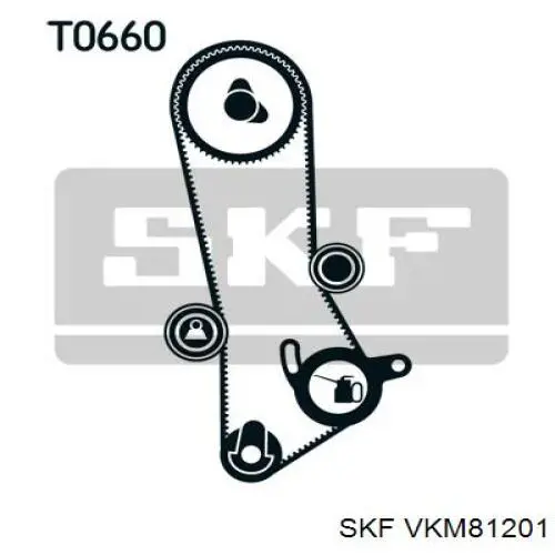 VKM 81201 SKF rodillo intermedio de correa dentada