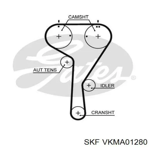 VKMA 01280 SKF kit correa de distribución