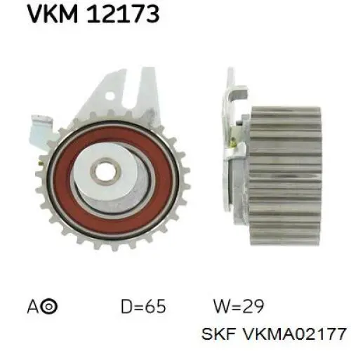VKMA02177 SKF kit de correa de distribución