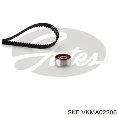 VKMA 02206 SKF kit de correa de distribución