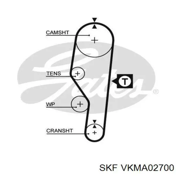 Comprar Kit de distribución Seat Ibiza I 021A