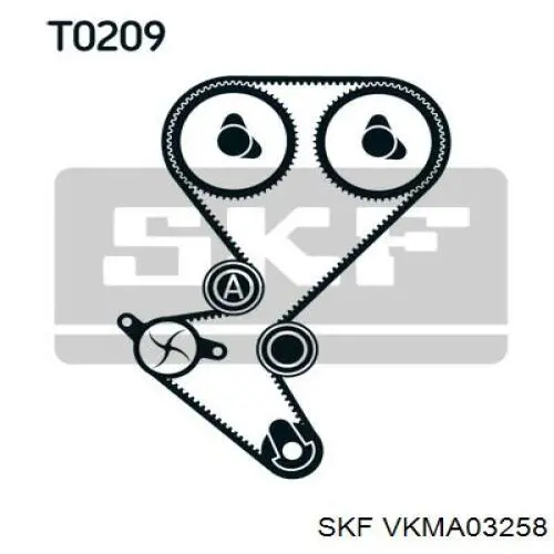 VKMA 03258 SKF kit correa de distribución