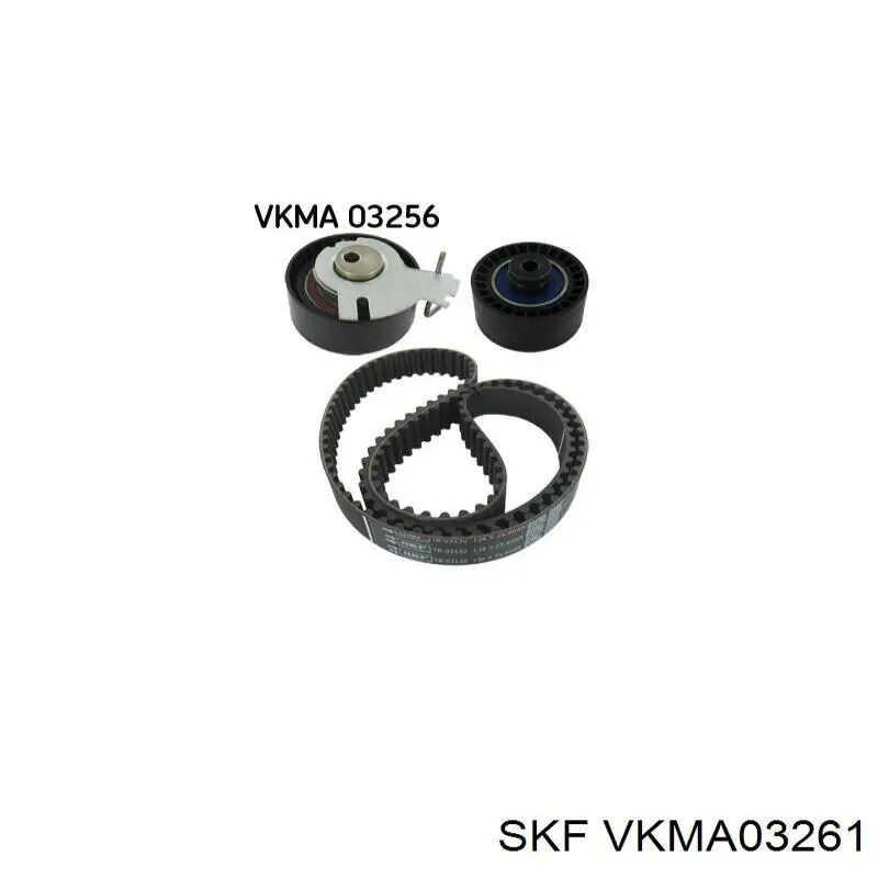 VKMA03261 SKF kit de correa de distribución