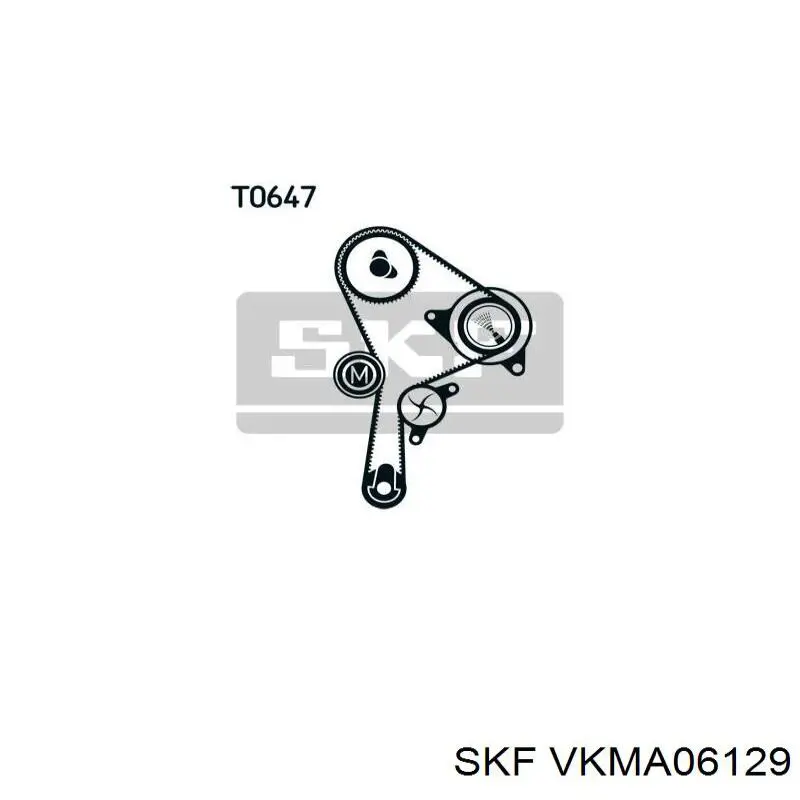 VKMA 06129 SKF kit de correa de distribución